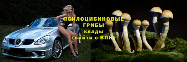мет Белокуриха