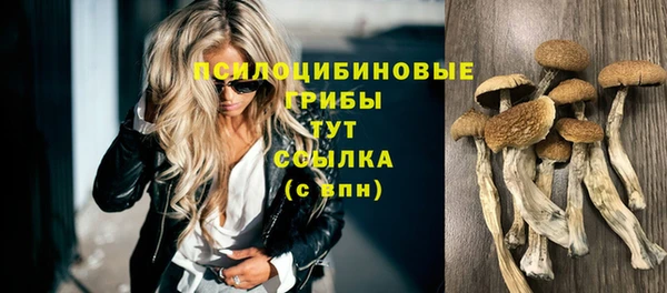 MDMA Беломорск